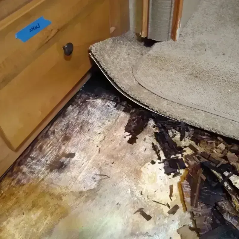 Best Wood Floor Water Damage Service in Pierceton, IN